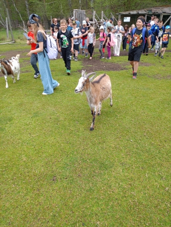 IMG-20260506-WA0086