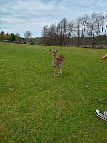 IMG-20260506-WA0087