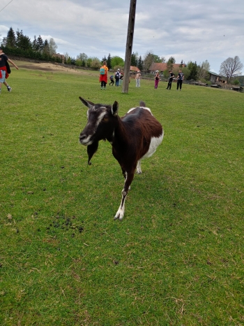 IMG-20260506-WA0091