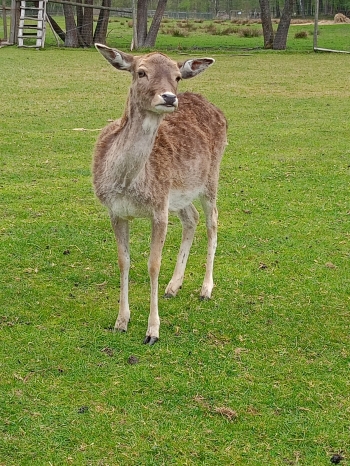 IMG-20260506-WA0092