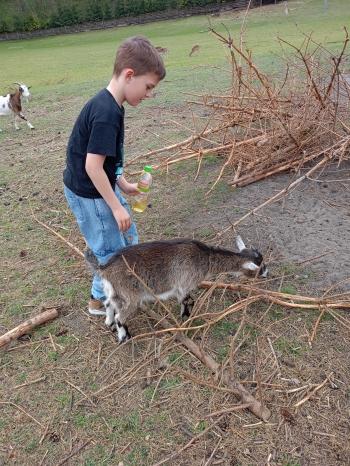 IMG-20260506-WA0097