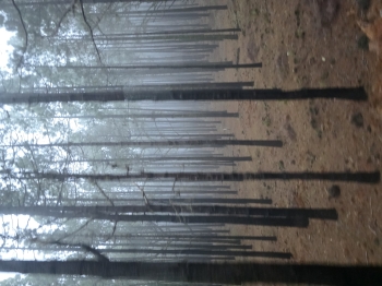 20260312_162530