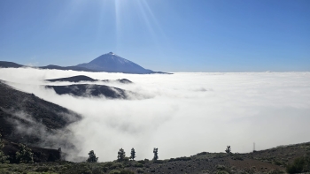 IMG-20260312-WA0042