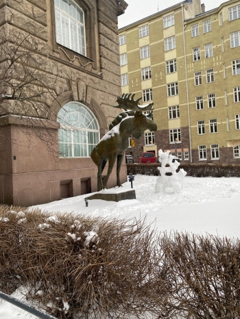 IMG-20260612-WA0009