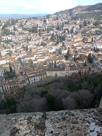 IMG20260121102644