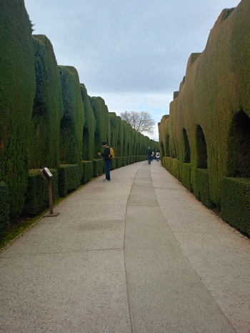 IMG20260121121839