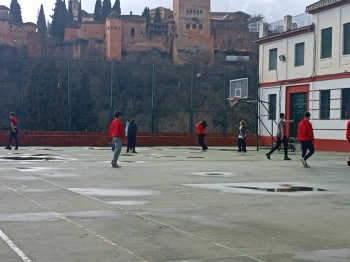 IMG20260122123402