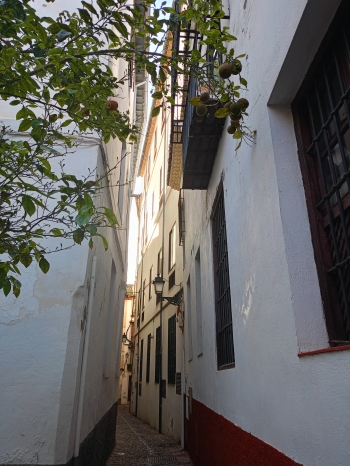 IMG20260123161829
