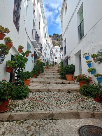 IMG20260124121919