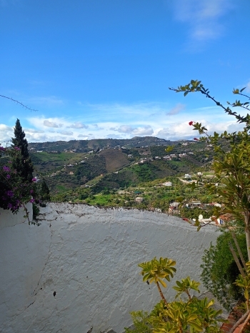 IMG20260124122854