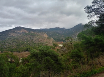IMG20260125132439