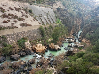 IMG20260125141002