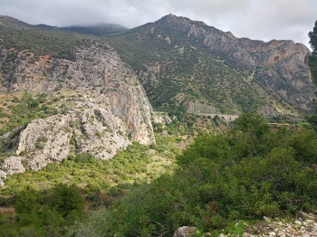 IMG20260125144216