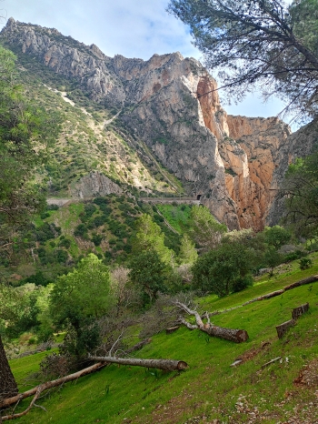 IMG20260125144815