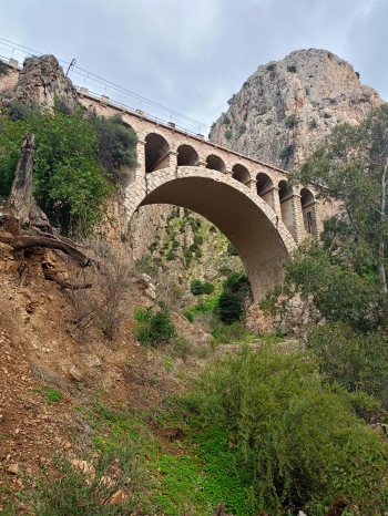 IMG20260125153111