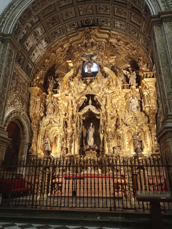 IMG20260128145316