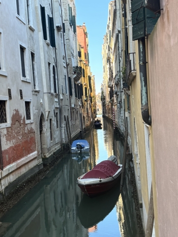 IMG_9298.JPEG