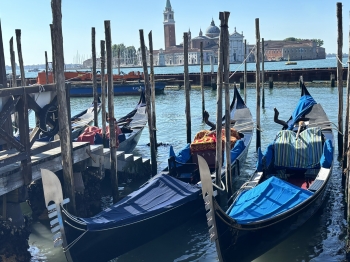 IMG_9334.JPEG