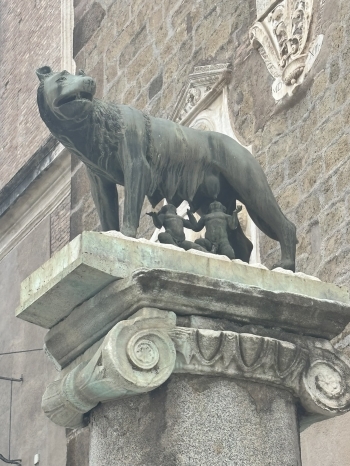 IMG_9502.JPEG
