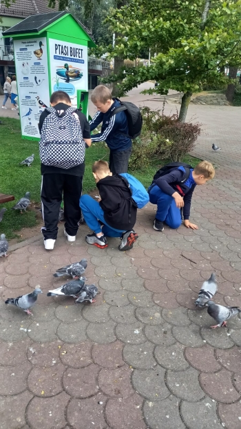IMG-20260929-WA0012