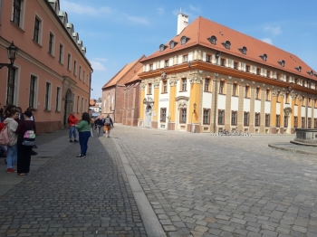 Wycieczka do Wrocławia kl. VIII a i VIII b 04-06.05.22 (178)