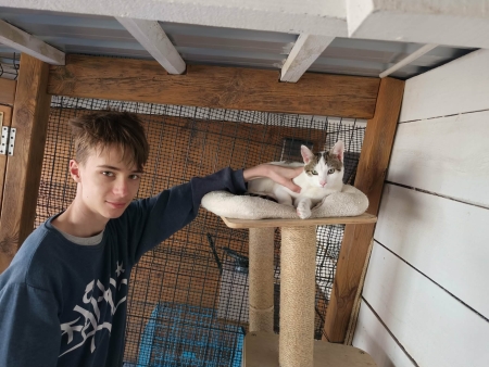 ŚWIATOWY DZIEŃ KOTA 